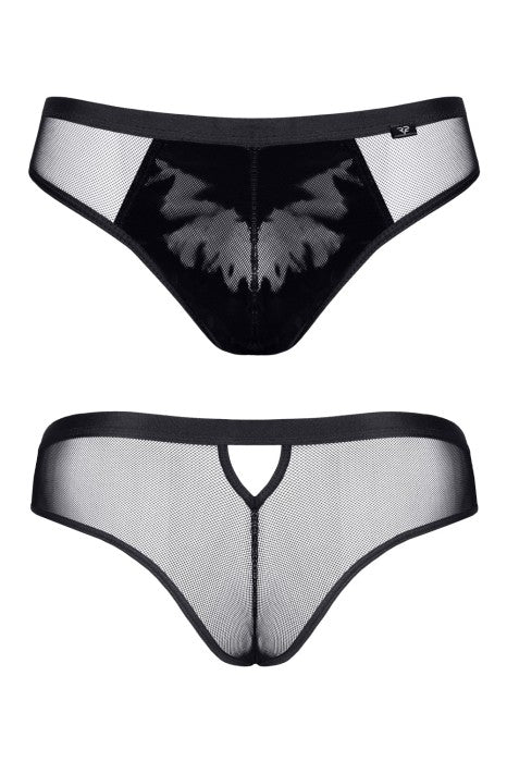 REGNES - REIZAN BRIEFS