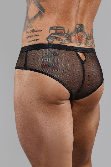 REGNES - REIZAN BRIEFS
