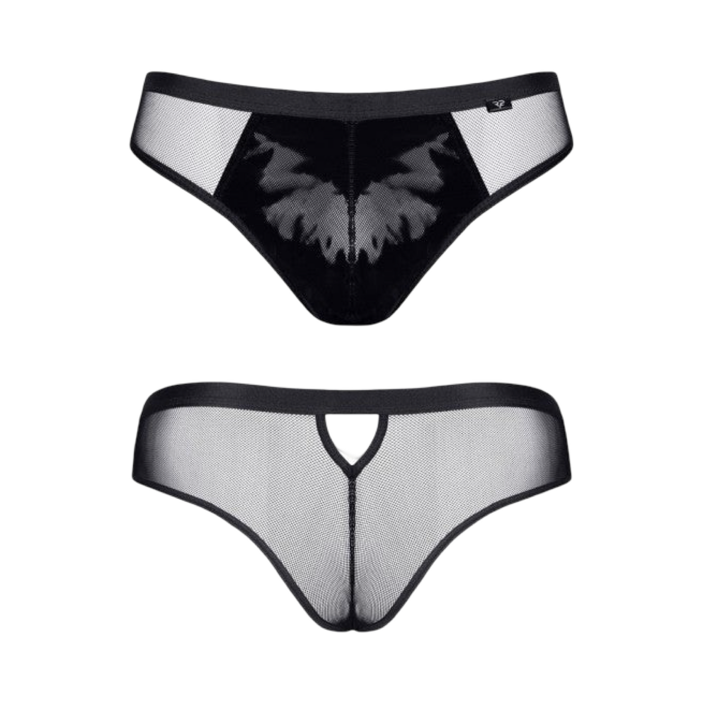 REGNES - REIZAN BRIEFS