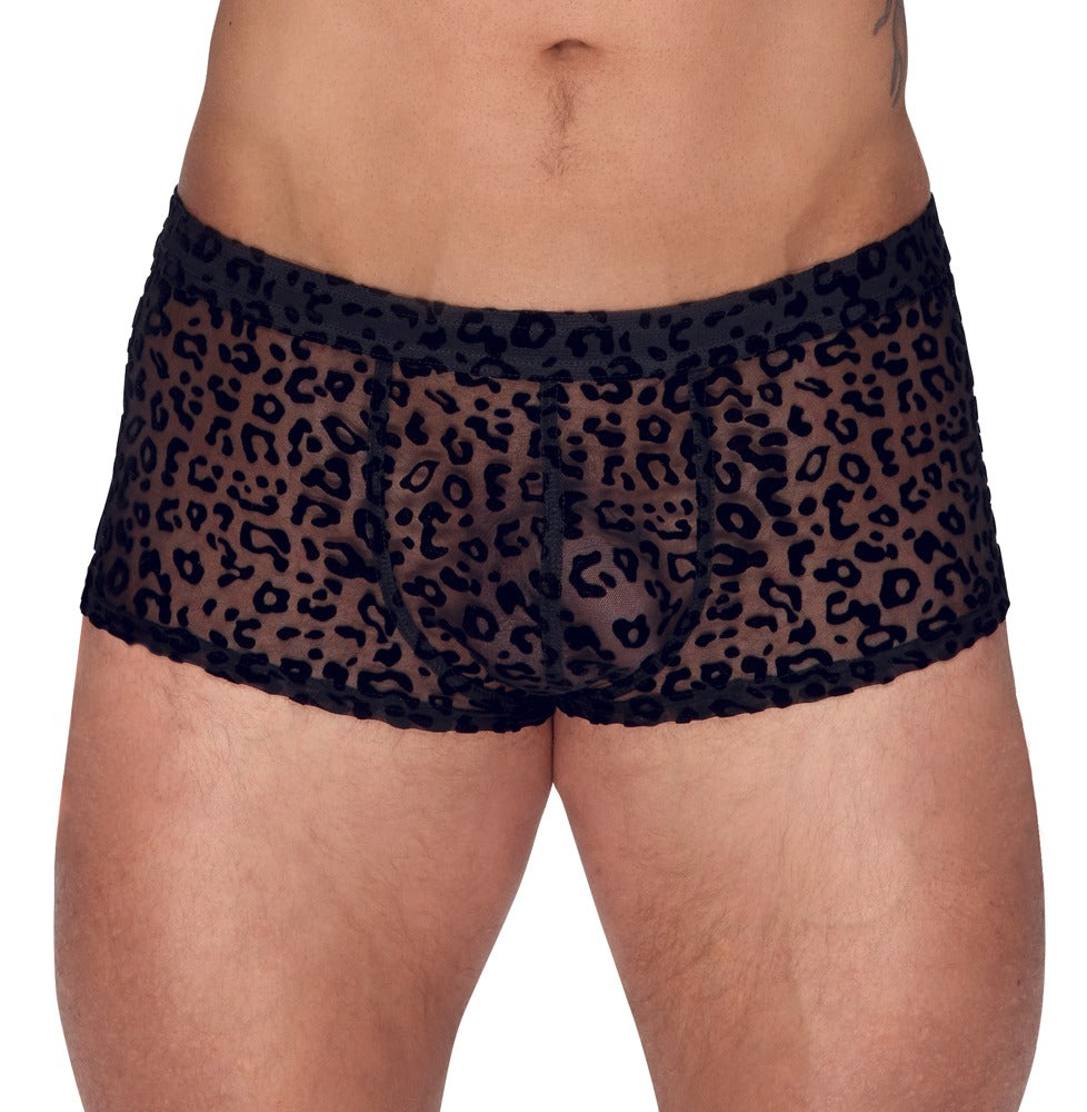 Leopard Boxer Shorts - korte ben